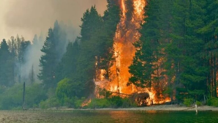 epuyen incendios forestales