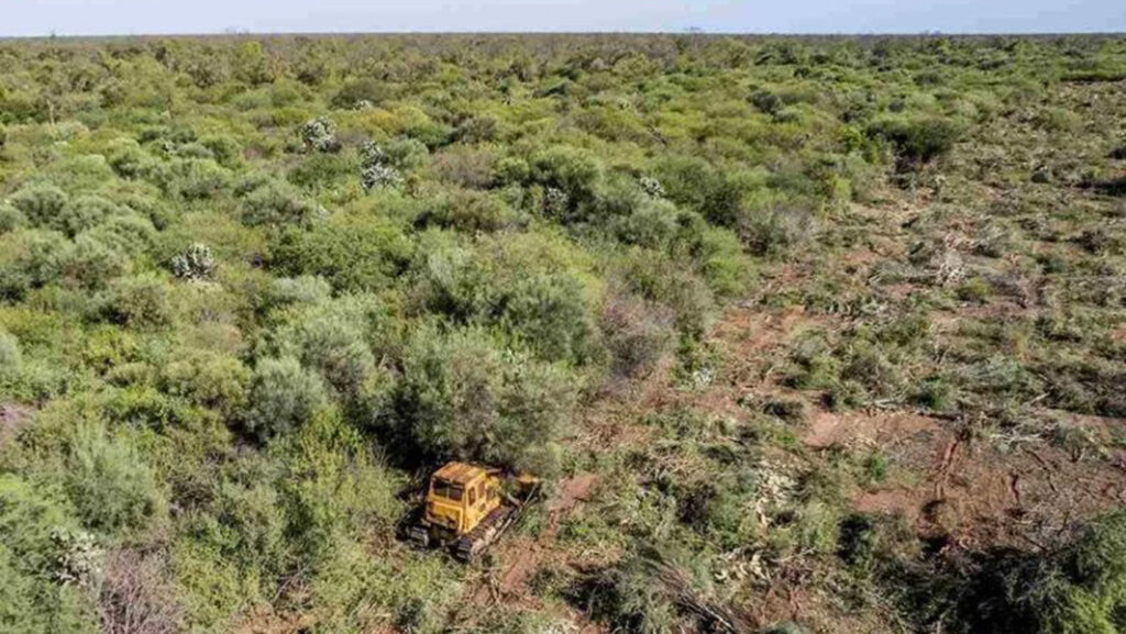 abogados-ambientalistas-chaco-impenetrable