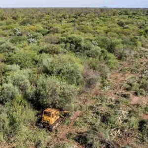 abogados-ambientalistas-chaco-impenetrable