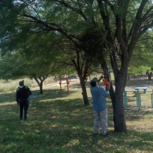 Foto: Archivo.