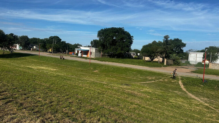 sachayoj-desmalezamiento