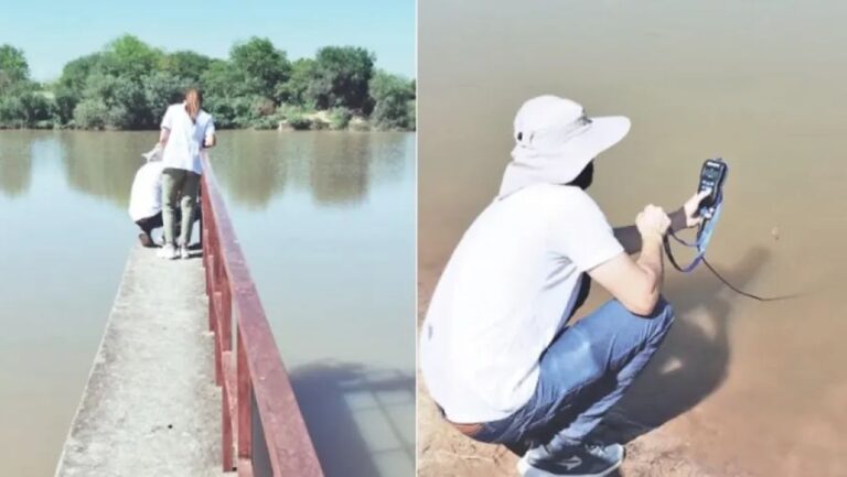 anoxia peces muertos