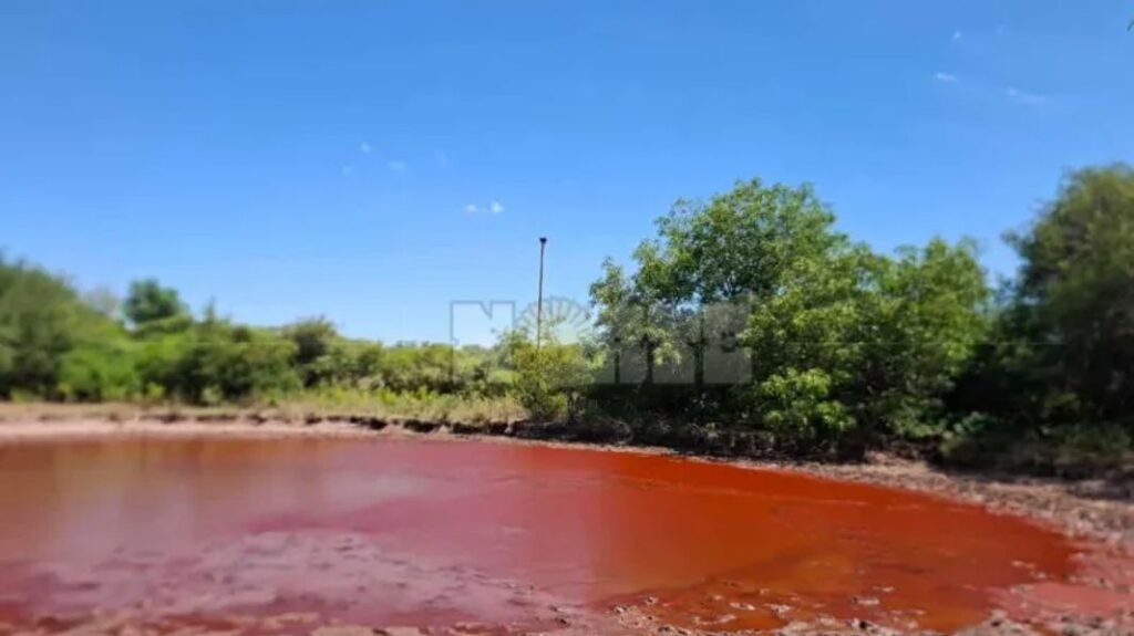 laguna roja taco pozo