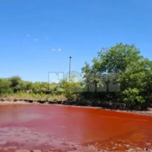 laguna roja taco pozo