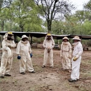 apicultura monte quemado