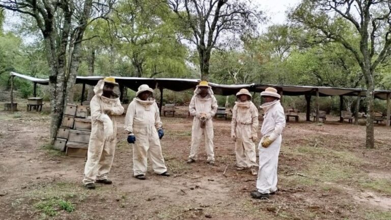 apicultura monte quemado