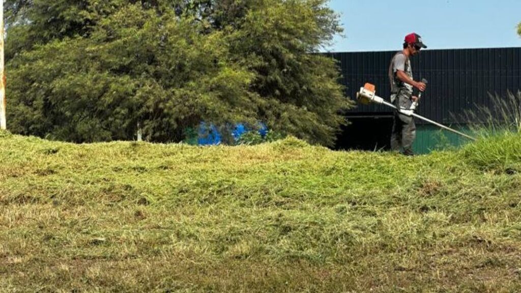 desmalezamiento sachayoj