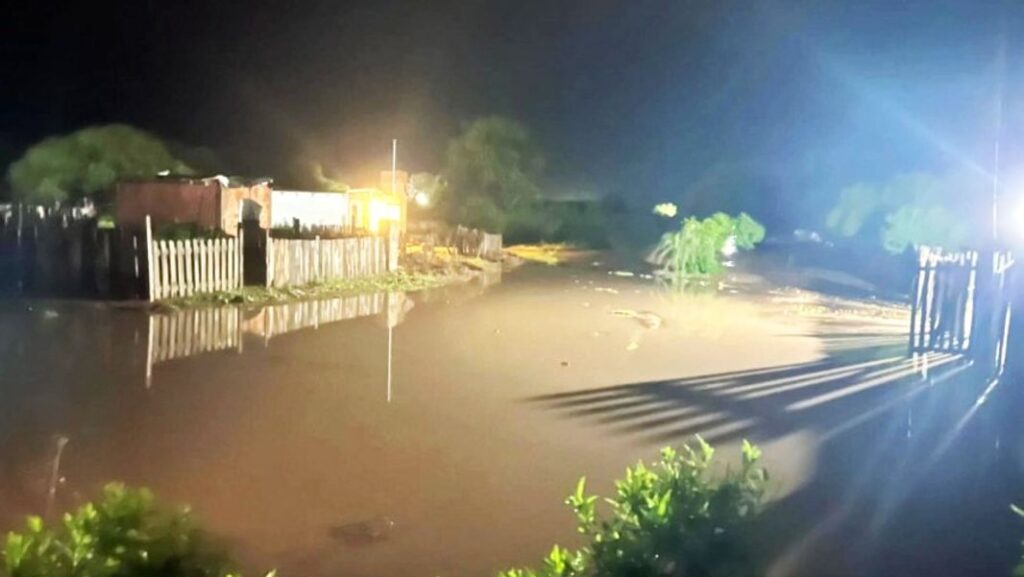 monte quemado inundado