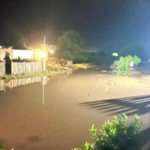 monte quemado inundado