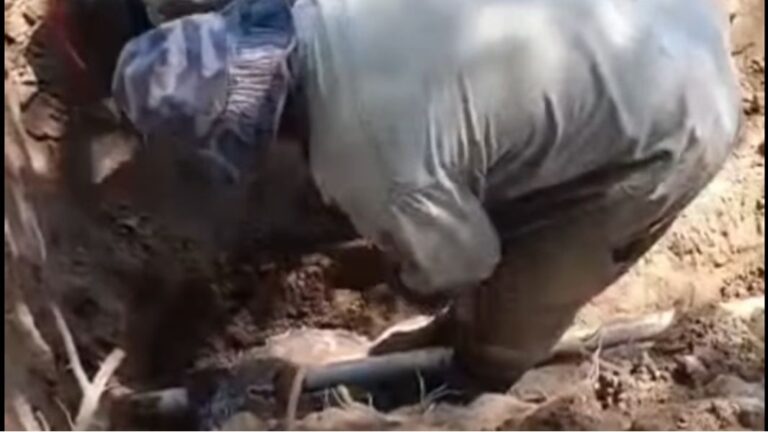 trabajo pampa de los guanacos