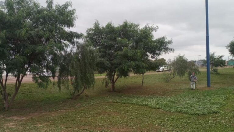 desmalezamiento quimili