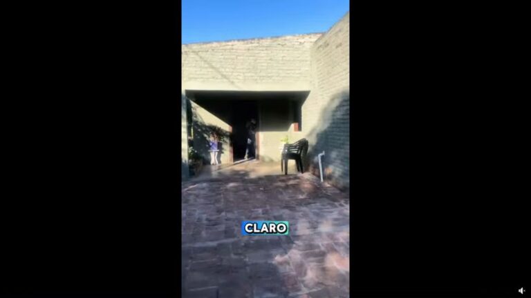 pampa de los guanacos fumigacion