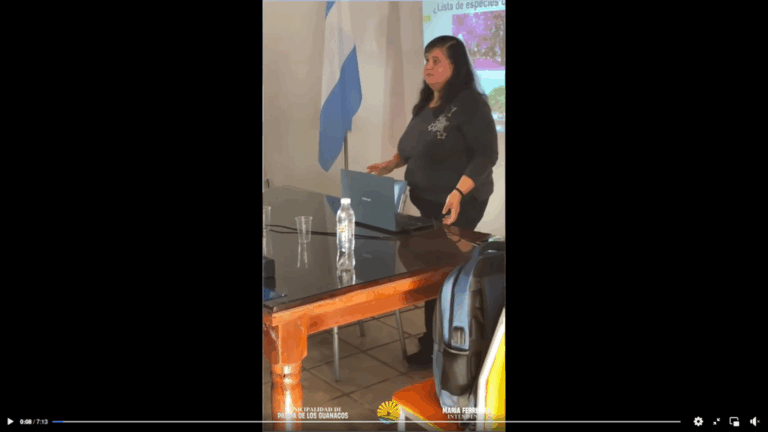 Captura desde 2025-06-07 07-26-12