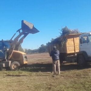 desmalezamiento monte quemado