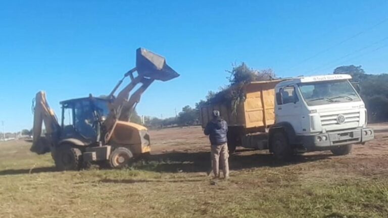 desmalezamiento monte quemado