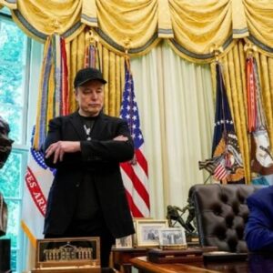 donald trump elon musk