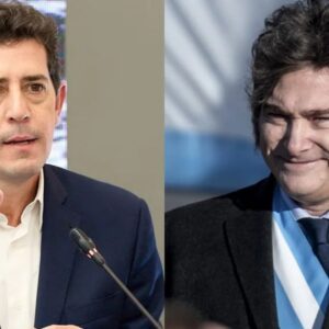 javier milei wado de pedro