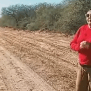 Captura desde 2025-07-19 07-42-33