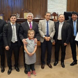 los alfiles diputados