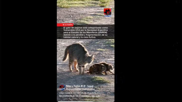 Screenshot-2025-11-25-at-03-46-10-Facebook