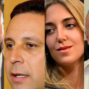 causa-andis