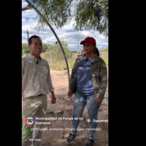 proyecto-ambiente-urbano