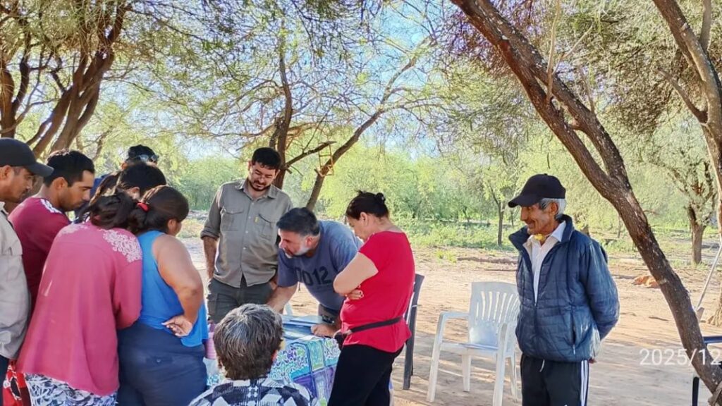 copo monte quemado proyecto