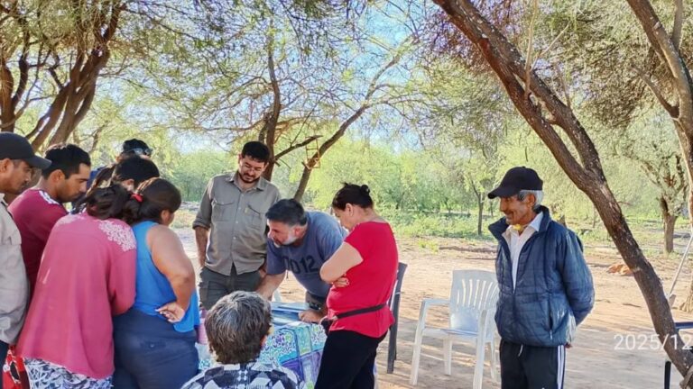 copo monte quemado proyecto