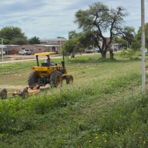 desmalezado sachayoj