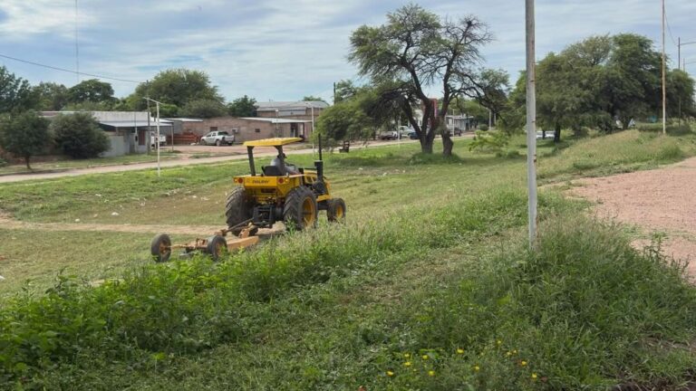 desmalezado sachayoj