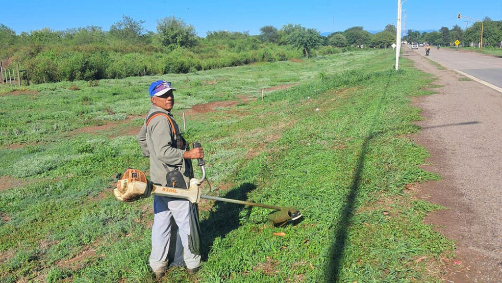 desmalezamiento-ruta-provincial-176