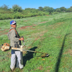 desmalezamiento-ruta-provincial-176