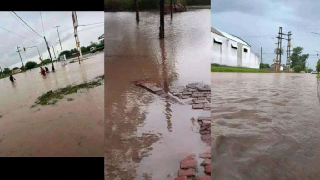 campo-gallo-temporal