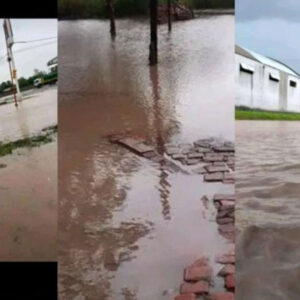 campo-gallo-temporal