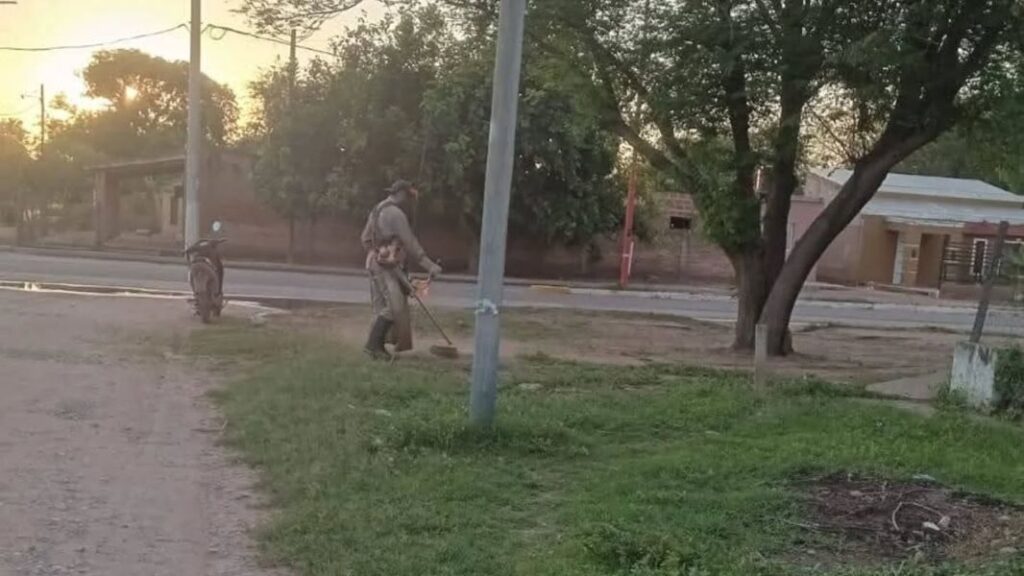 desmalezado monte quemado