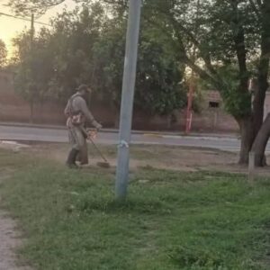 desmalezado monte quemado