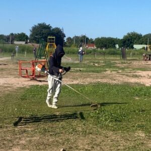 desmalezamiento pampa de los guanacos