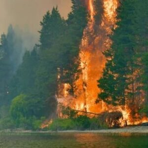 epuyen incendios forestales