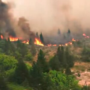 incendios chubut