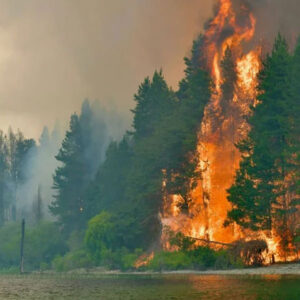 incendios-patagonia