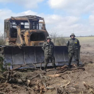 mafia-desmontes-chaco