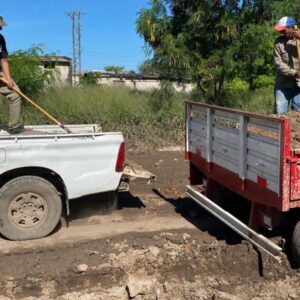 tareas bacheo sachayoj