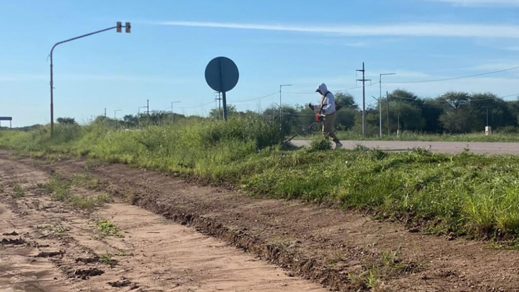 desmalezamiento-pampa-de-los-guanacos