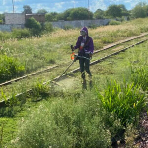 desmalezamiento-pampa-de-los-guanacos