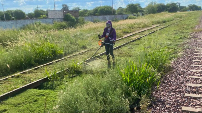 desmalezamiento-pampa-de-los-guanacos