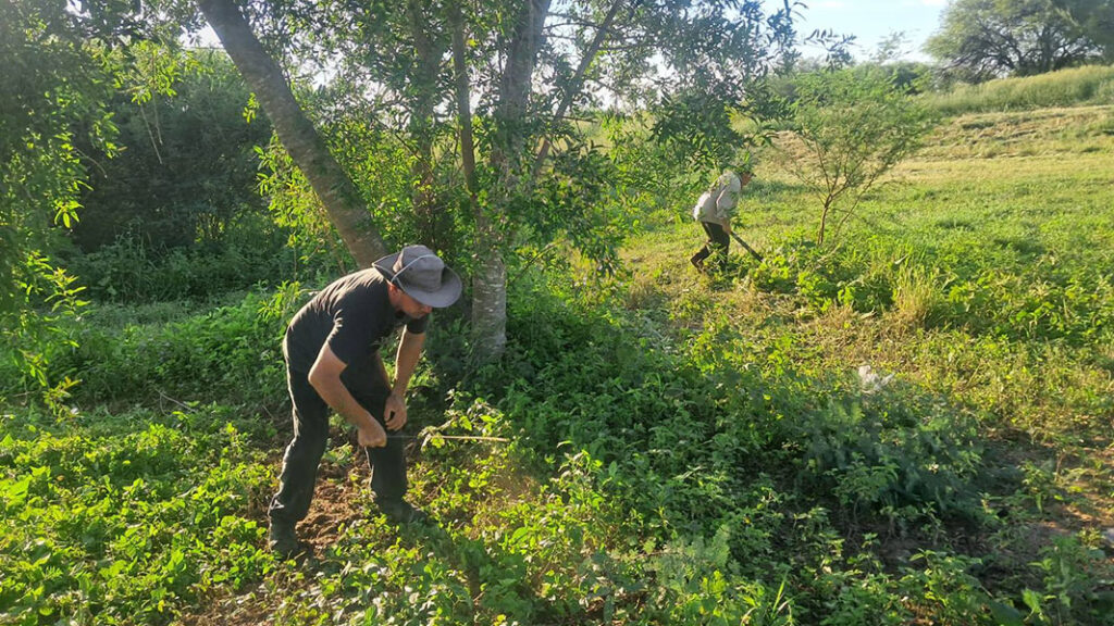 desmalezamiento-plaza-el-tartagal