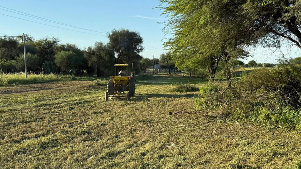 limpieza-desmalezamiento-sachayoj