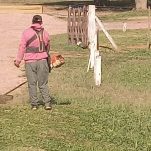 poda-espacios-publicos