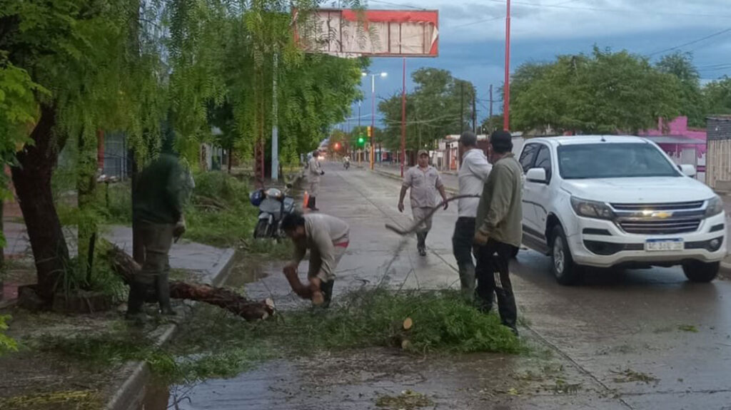 arboles-caidos-monte-quemado