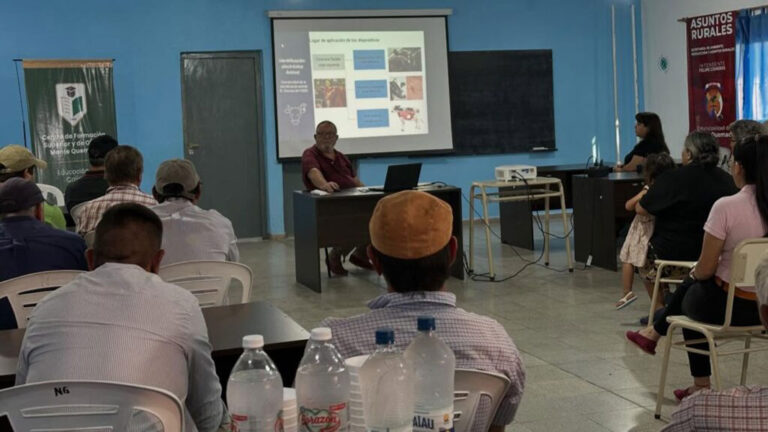 bovinos-monte-quemado